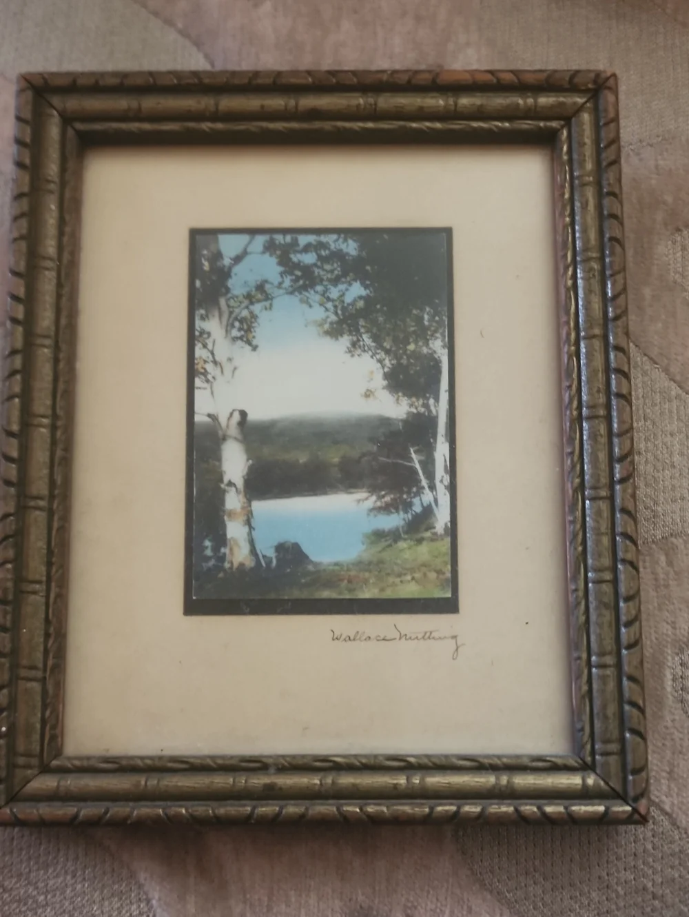 Wallace Nutting Signed Handcolorized Landscape In Picture Frame 100+ Years Old